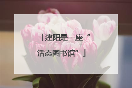 建阳是一座“活态图书馆”