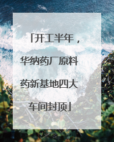 开工半年，华纳药厂原料药新基地四大车间封顶