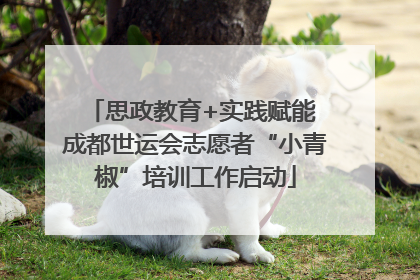 思政教育+实践赋能 成都世运会志愿者“小青椒”培训工作启动