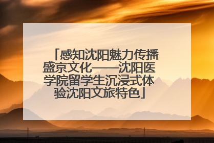 感知沈阳魅力传播盛京文化——沈阳医学院留学生沉浸式体验沈阳文旅特色