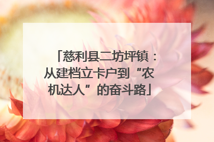 慈利县二坊坪镇：从建档立卡户到“农机达人”的奋斗路