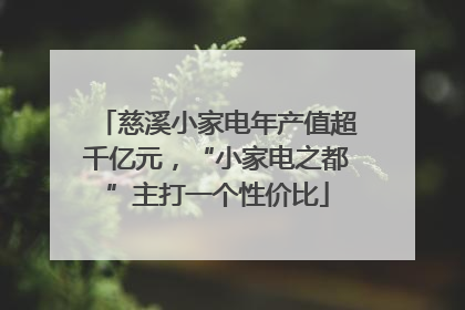 慈溪小家电年产值超千亿元,“小家电之都”主打一个性价比