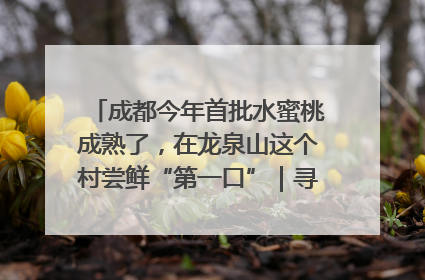 成都今年首批水蜜桃成熟了，在龙泉山这个村尝鲜“第一口”｜寻找和美乡村推荐官