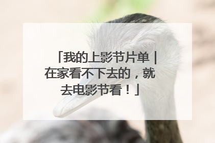 我的上影节片单｜在家看不下去的，就去电影节看！