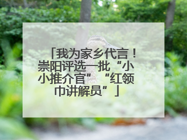 我为家乡代言！崇阳评选一批“小小推介官”“红领巾讲解员”