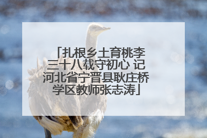 扎根乡土育桃李 三十八载守初心 记河北省宁晋县耿庄桥学区教师张志涛