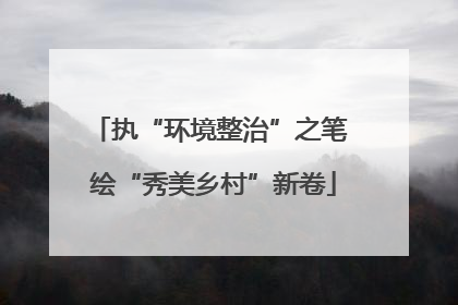 执“环境整治”之笔 绘“秀美乡村”新卷
