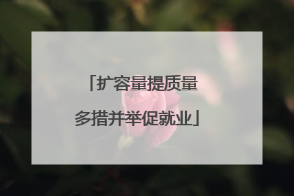 扩容量提质量 多措并举促就业
