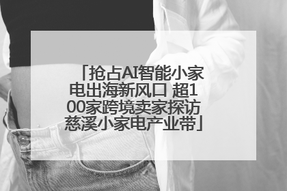 抢占AI智能小家电出海新风口 超100家跨境卖家探访慈溪小家电产业带