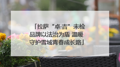 拉萨“卓·吉”未检品牌以法治为盾 温暖守护雪域青春成长路
