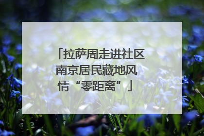 拉萨周走进社区 南京居民藏地风情“零距离”