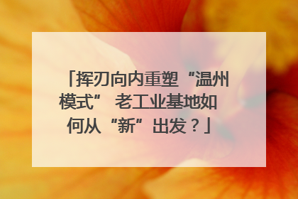 挥刃向内重塑“温州模式” 老工业基地如何从“新”出发？