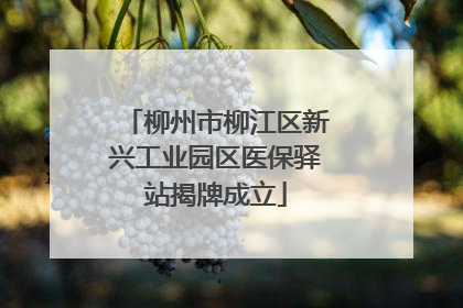 柳州市柳江区新兴工业园区医保驿站揭牌成立