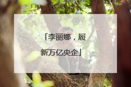 李丽娜，履新万亿央企