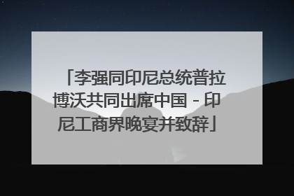 李强同印尼总统普拉博沃共同出席中国－印尼工商界晚宴并致辞