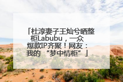 杜淳妻子王灿兮晒整柜Labubu，一众爆款IP齐聚！网友：我的 “梦中情柜”