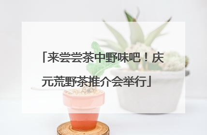 来尝尝茶中野味吧！庆元荒野茶推介会举行