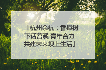 杭州余杭：香樟树下话苕溪 青年合力共建未来坝上生活