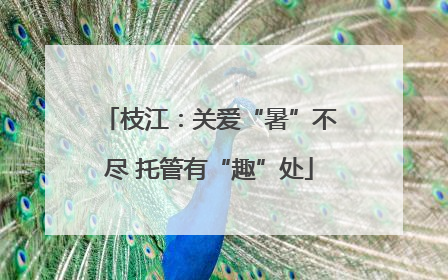 枝江：关爱“暑”不尽 托管有“趣”处