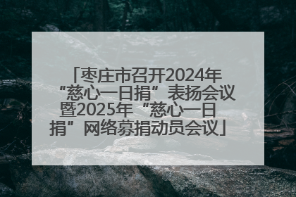 枣庄市召开2024年“慈心一日捐”表扬会议暨2025年“慈心一日捐”网络募捐动员会议