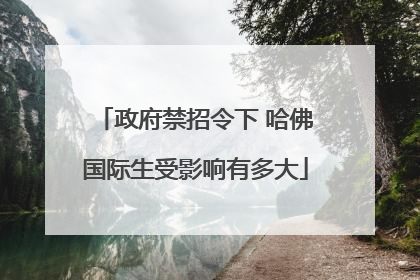政府禁招令下 哈佛国际生受影响有多大