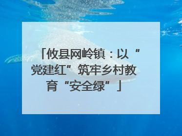 攸县网岭镇：以“党建红”筑牢乡村教育“安全绿”