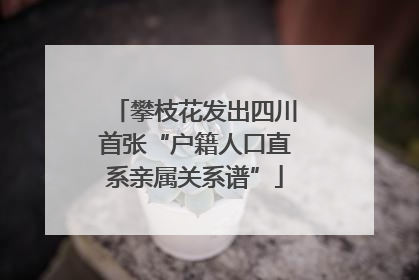 攀枝花发出四川首张“户籍人口直系亲属关系谱”