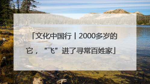 文化中国行丨2000多岁的它，“飞”进了寻常百姓家