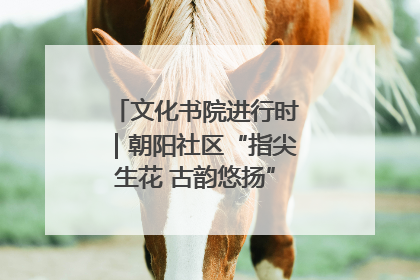 文化书院进行时｜朝阳社区“指尖生花 古韵悠扬”公益课堂开课了