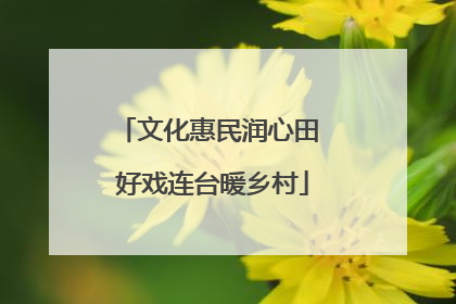 文化惠民润心田 好戏连台暖乡村