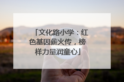 文化路小学：红色基因薪火传，榜样力量润童心
