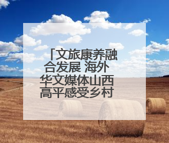 文旅康养融合发展 海外华文媒体山西高平感受乡村振兴活力