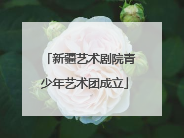 新疆艺术剧院青少年艺术团成立