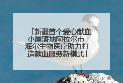 新疆首个爱心献血小屋落地阿拉尔市 海尔生物医疗助力打造献血服务新模式