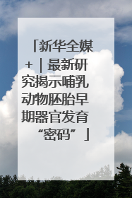 新华全媒+｜最新研究揭示哺乳动物胚胎早期器官发育“密码”