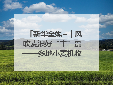 新华全媒+｜风吹麦浪好“丰”景——多地小麦机收一线见闻