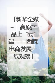 新华全媒+｜高原产品上“云”端——西藏电商发展一线观察