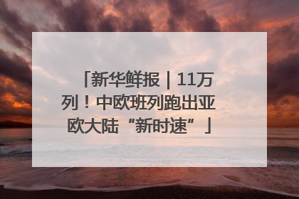 新华鲜报｜11万列！中欧班列跑出亚欧大陆“新时速”