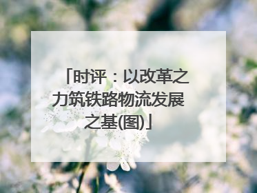 时评：以改革之力筑铁路物流发展之基(图)