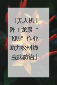 无人机上阵！龙泉“飞防”作业助力松材线虫病防治