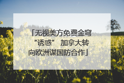 无视美方免费金穹“诱惑” 加拿大转向欧洲谋国防合作