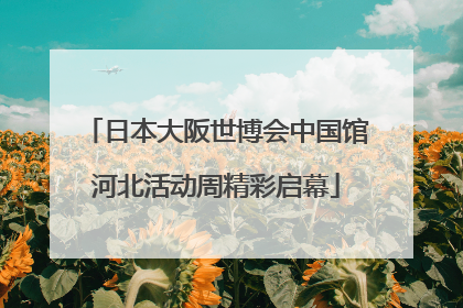 日本大阪世博会中国馆河北活动周精彩启幕