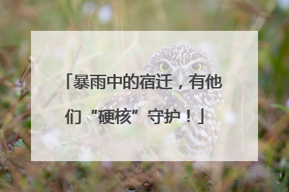 暴雨中的宿迁，有他们“硬核”守护！