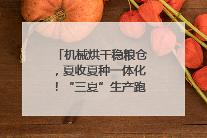 机械烘干稳粮仓，夏收夏种一体化！“三夏”生产跑出加速度｜麦报