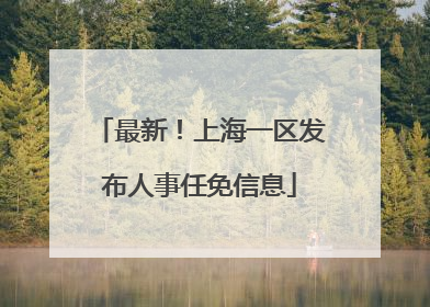 最新！上海一区发布人事任免信息