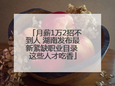 月薪1万2招不到人 湖南发布最新紧缺职业目录 这些人才吃香