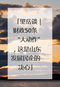 望岳谈｜财政50条“大动作”，这是山东发展民企的决心