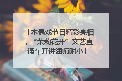 木偶戏节目精彩亮相，“茉莉花开”文艺直通车开进海师附小