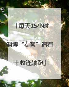 每天15小时 淄博“麦客”追着丰收连轴跑