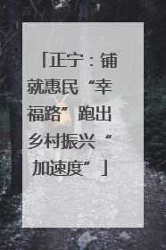 正宁：铺就惠民“幸福路”跑出乡村振兴“加速度”